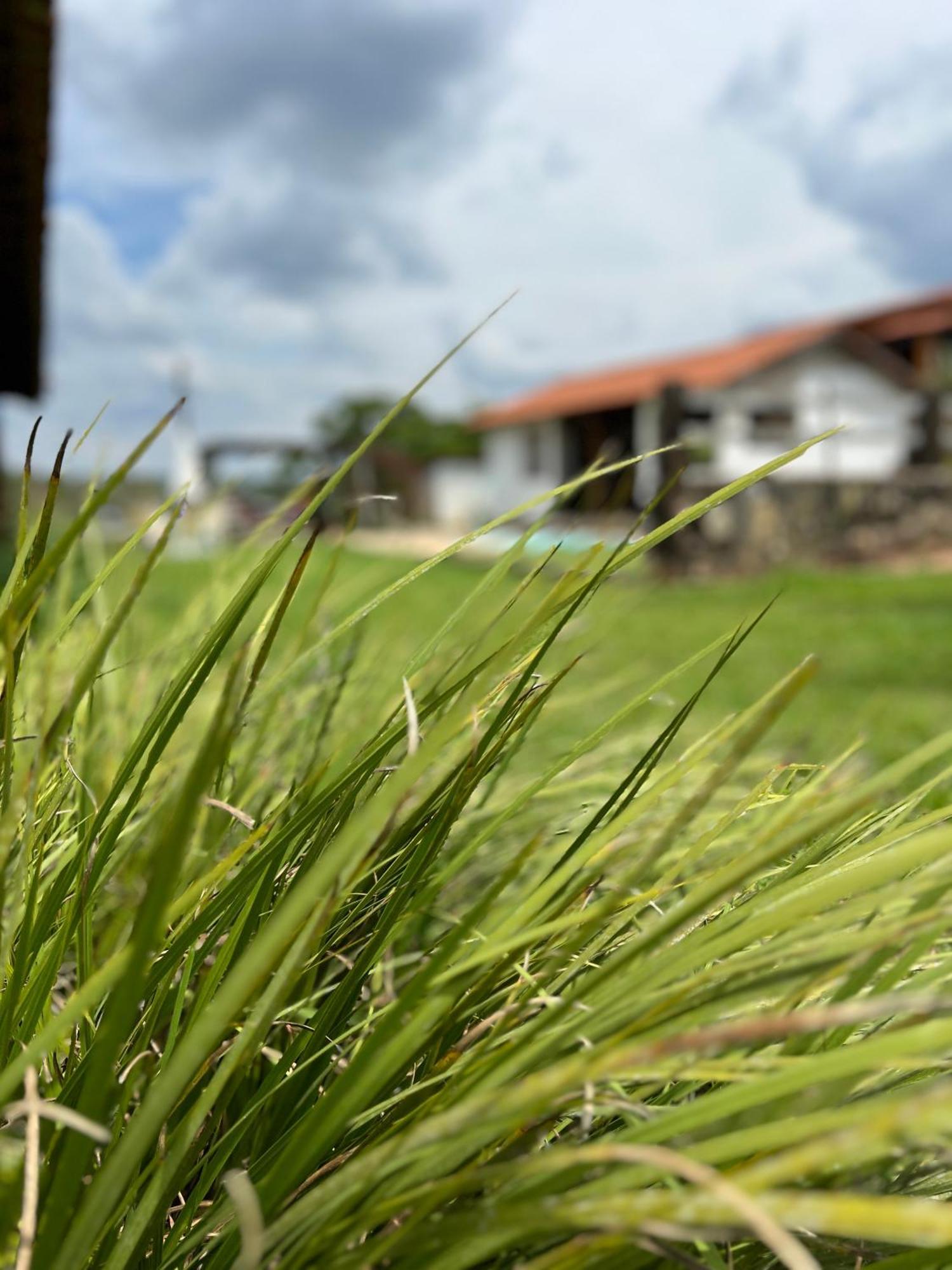 Fazenda Do Engenho Hotel Santa Rita do Rio Abaixo Eksteriør billede
