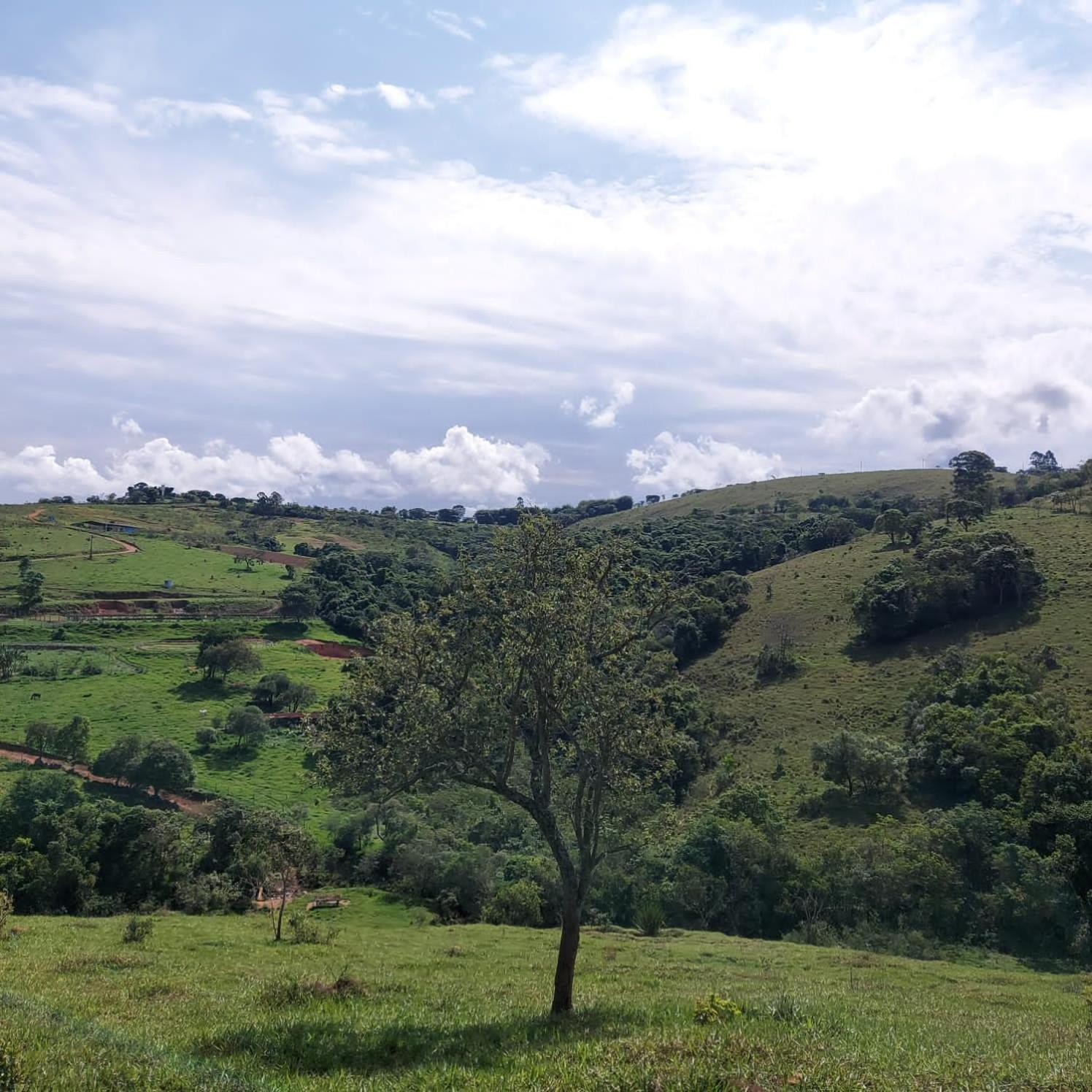 Fazenda Do Engenho Hotel Santa Rita do Rio Abaixo Eksteriør billede