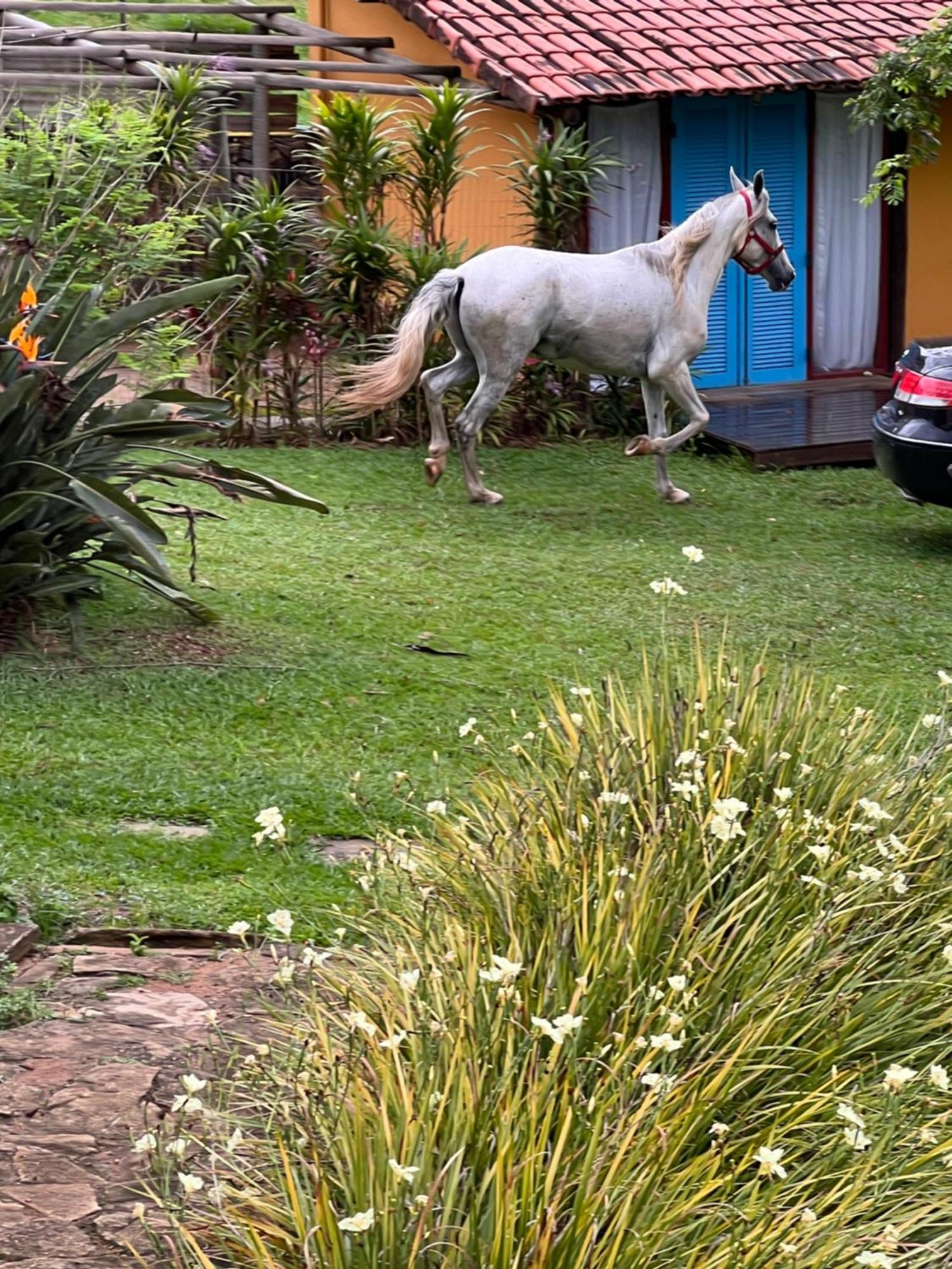 Fazenda Do Engenho Hotel Santa Rita do Rio Abaixo Eksteriør billede