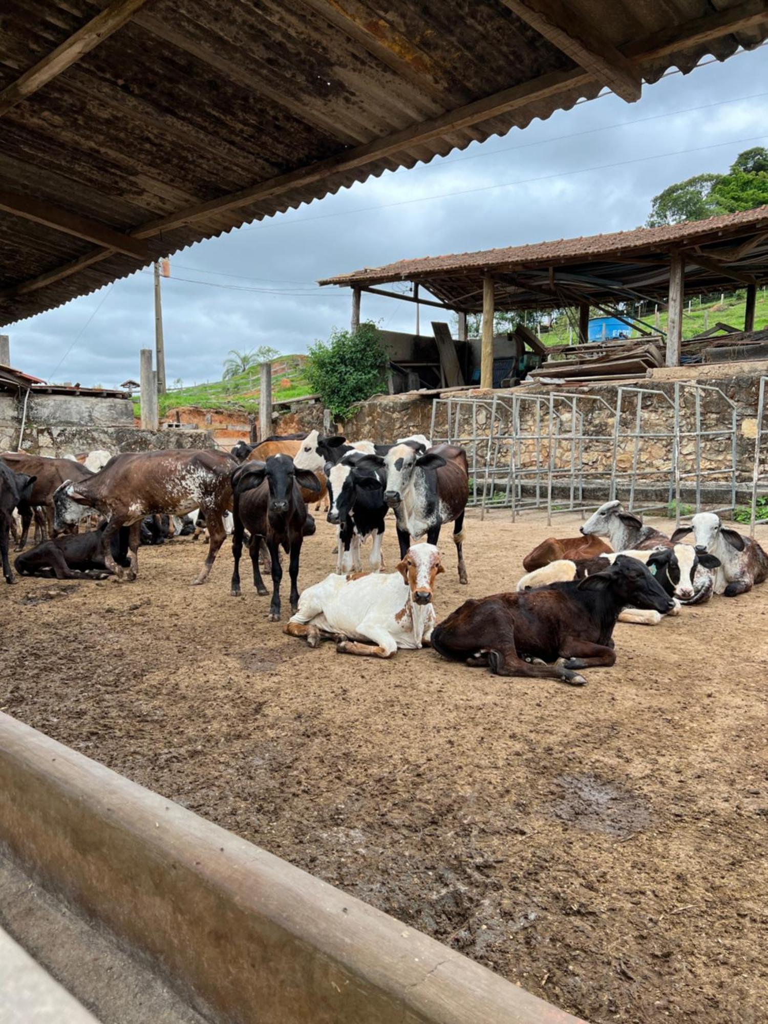 Fazenda Do Engenho Hotel Santa Rita do Rio Abaixo Eksteriør billede