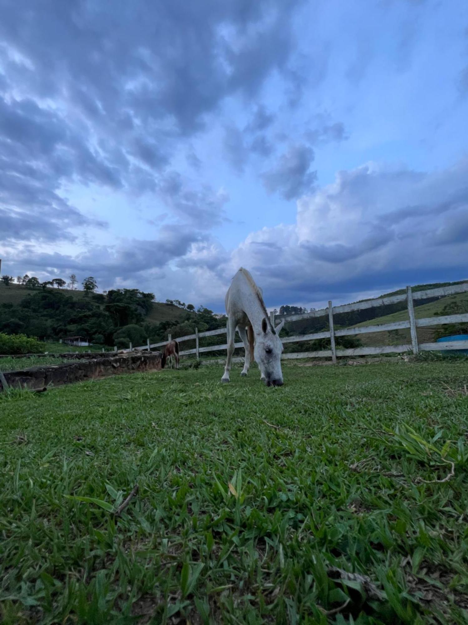 Fazenda Do Engenho Hotel Santa Rita do Rio Abaixo Eksteriør billede