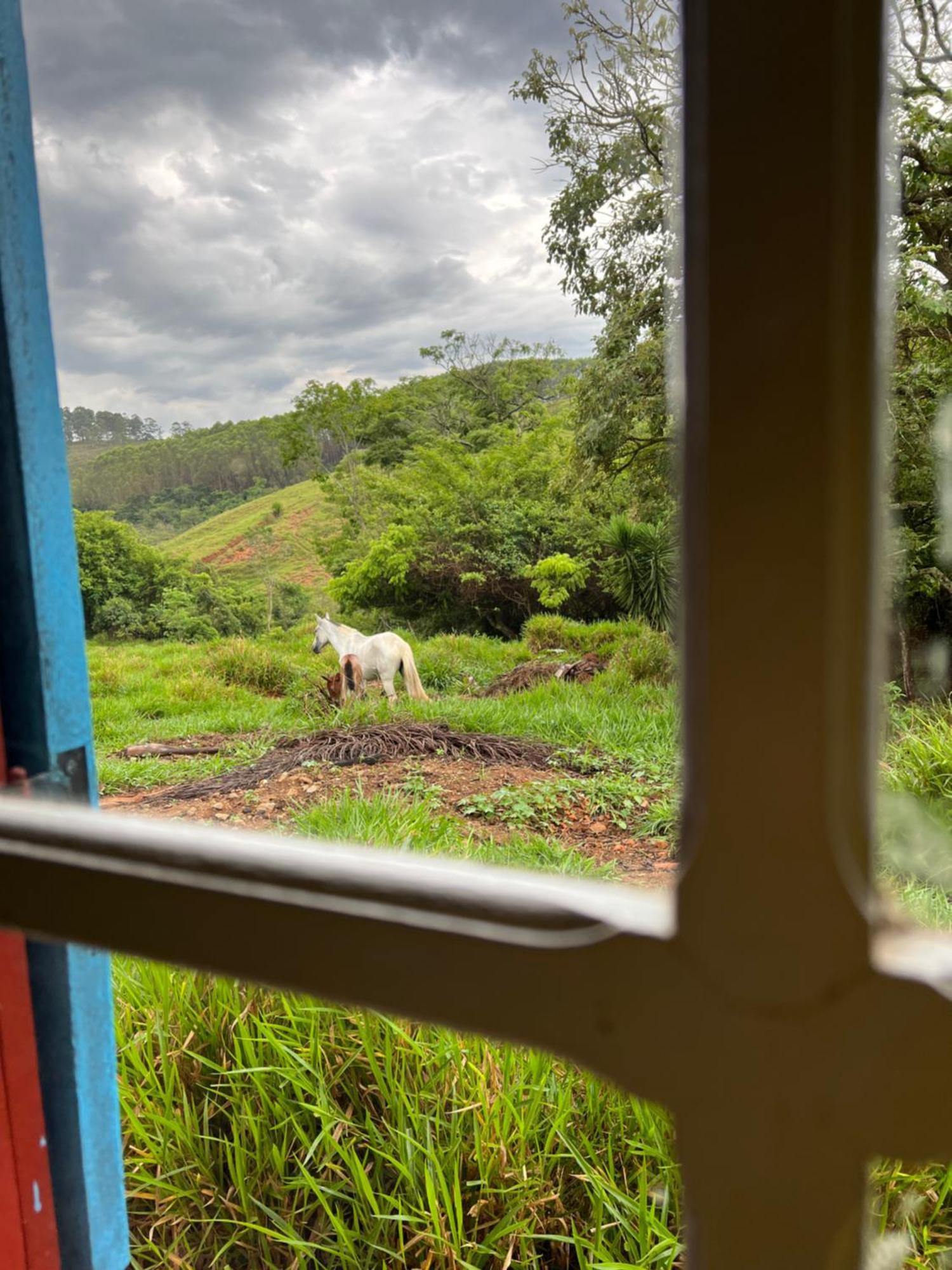 Fazenda Do Engenho Hotel Santa Rita do Rio Abaixo Eksteriør billede