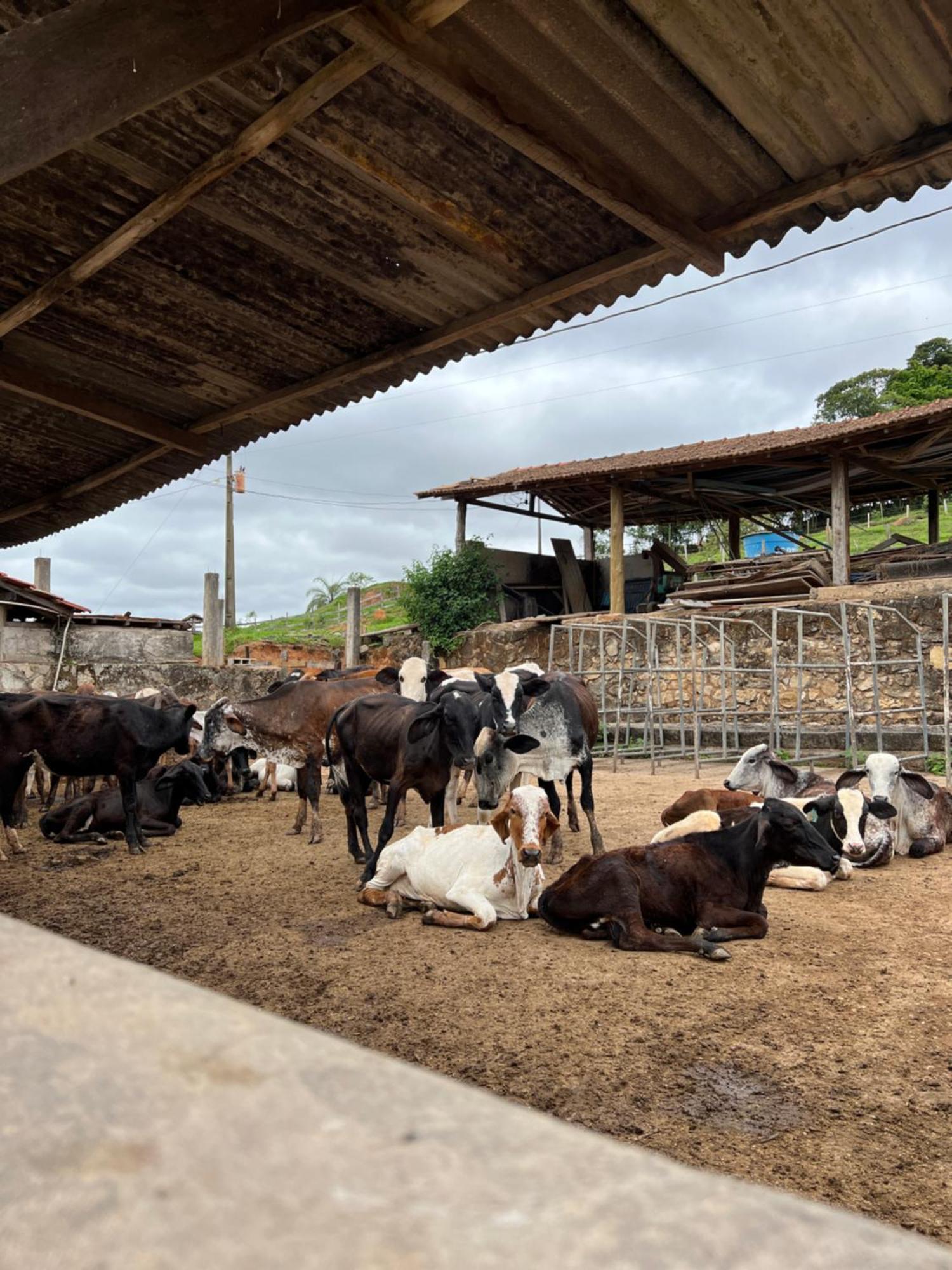 Fazenda Do Engenho Hotel Santa Rita do Rio Abaixo Eksteriør billede